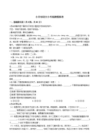 河南省安阳市重点小学小升初语文小考检测模拟卷