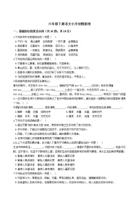 人教六年级下册语文小升初模拟卷