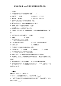 六年级语文下册试题 浙江省宁波市2021年小升初语文复习试卷（九）（含答案）部编版