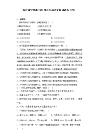 六年级语文下册试题 浙江省宁波市2021年小升初语文复习试卷（四）（含答案）部编版