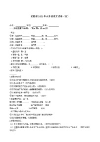 六年级下册语文试题  安徽省2021年小升初试卷（五）（含答案）部编版