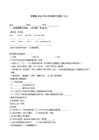 六年级下册语文试题  安徽省2021年小升初试卷（九）（含答案）部编版