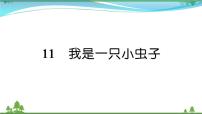 二年级下册11 我是一只小虫子优质课文作业ppt课件