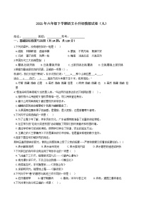 六年级下册语文试题-2021年下学期小升初模拟试卷（九）含答案部编版