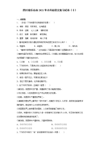 六年级语文下册试题 四川省乐山市2021年小升初语文复习试卷（十）（含答案）部编版