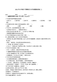 六年级语文下册试题 2021年下学期语文小升初模拟试卷(二)（含答案）部编版