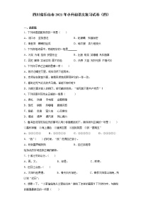 六年级语文下册试题 四川省乐山市2021年小升初语文复习试卷（四）（含答案）部编版