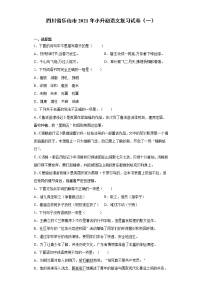 六年级语文下册试题 四川省乐山市2021年小升初语文复习试卷（一）（含答案）部编版