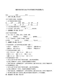 六年级下册语文试题 重庆市永川区2021年小升初考试试卷（八) （含答案）部编版