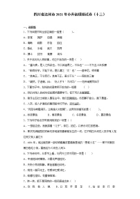 六年级下册语文试题-四川省达州市2021年小升初模拟试卷（十三） 部编版（含答案）