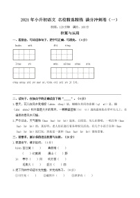 2021年小升初语文名校精选精练满分冲刺卷（一）（含详细解答）