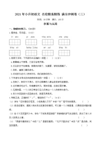 2021年小升初语文冲刺卷（三）（含详细解答）