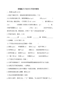 统编版六下语文小升初冲刺卷(含答案)