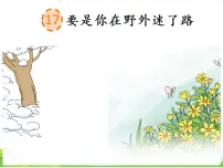 人教部编版二年级下册课文517 要是你在野外迷了路评优课课件ppt