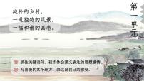 人教部编版四年级下册11 白桦完美版ppt课件