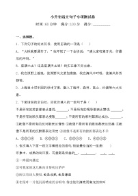 2021·小升初语文试题-字句子专项测试卷-人教统编版（含答案）（1）