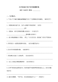 2021学年小升初语文句子过关检测密卷-人教统编版（含答案）-（二）