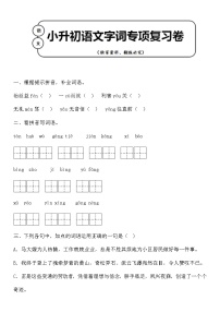 统编版小升初语文字词专项复习卷含答案 (5)