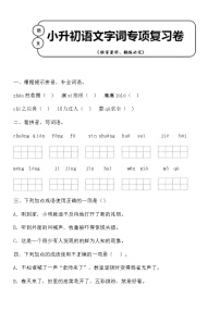 统编版小升初语文字词专项复习卷含答案 (12)