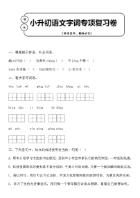 统编版小升初语文字词专项复习卷含答案 (8)