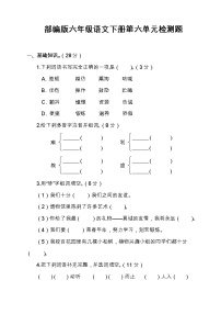 语文第六单元单元综合与测试练习题