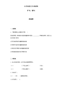【精品】小升初语文知识专项训练（基础知识二）-4.扩句、缩句（24页）