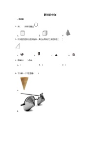 六年级下册数学试题--小升初专题复习 圆锥的特征  人教版（含解析）