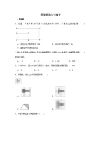 六年级下册数学试题--小升初专题复习 图形的放大与缩小 人教版(含答案)