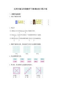 北师大版五年级数学下册期末复习练习卷试题无答案