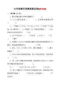 小升初数学预测真题试卷及参考答案(最新版)