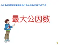 人教版五年级下册最大公因数图文课件ppt