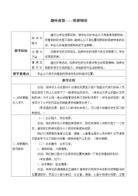 小学数学青岛版 (五四制)四年级上册六 趣味拼搭——观察物体教学设计