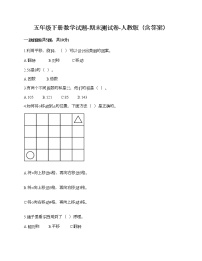 五年级下册数学试题-期末测试卷-人教版（含答案） (4)