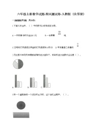 六年级上册数学试题-期末测试卷-人教版（含答案） (3)