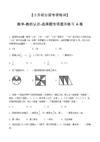 【小升初分班专项特训】数学-数的认识-选择题 专项提升练习A卷（通用版，含答案）