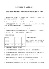 【小升初分班专项特训】数学-数与代数-解决问题-选择题  专项提升练习A卷（通用版，含答案）