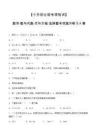 【小升初分班专项特训】数学-数与代数-式与方程-选择题  专项提升练习A卷（通用版，含答案）