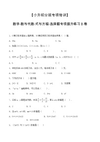 【小升初分班专项特训】数学-数与代数-式与方程-选择题  专项提升练习B卷（通用版，含答案）