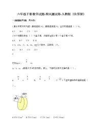 六年级下册数学试题-期末测试卷-人教版（含答案） (11)