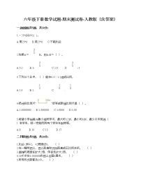 六年级下册数学试题-期末测试卷-人教版（含答案） (12)