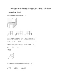 五年级下册数学试题-期末测试卷-人教版（含答案） (15)