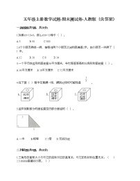 五年级上册数学试题-期末测试卷-人教版（含答案） (15)