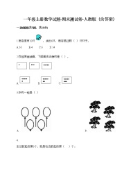 一年级上册数学试题-期末测试卷-人教版（含答案） (6)