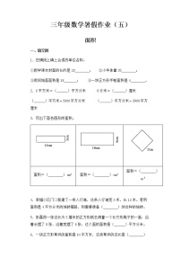 人教版 三年级数学暑假作业五  面积