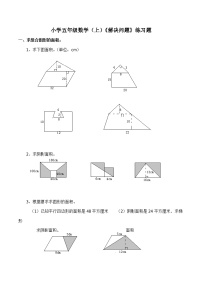 西师大版五年级上册第五单元 多边形面积的计算解决问题巩固练习