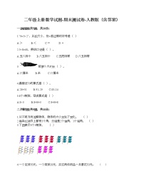 二年级上册数学试题-期末测试卷-人教版（含答案） (4)