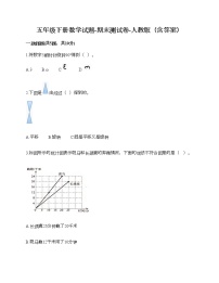 五年级下册数学试题-期末测试卷-人教版（含答案） (8)