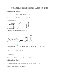 一年级上册数学试题-期末测试卷9-人教版（含答案）