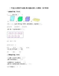 一年级上册数学试题-期末测试卷5-人教版（含答案）