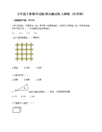 五年级下册数学试题-期末测试卷-人教版（含答案） (7)